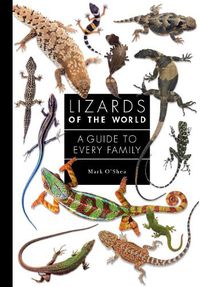 Cover image for Lizards of the World: A Guide to Every Family