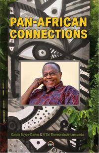 Cover image for Pan-african Connections