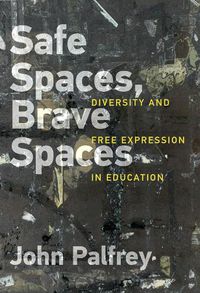 Cover image for Safe Spaces, Brave Spaces: Diversity and Free Expression in Education