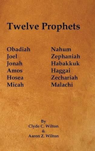 Cover image for Twelve Prophets