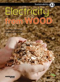 Cover image for Electricity from Wood: Book 33