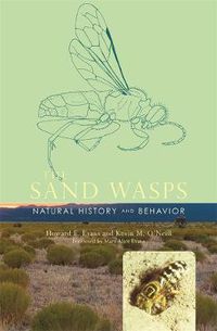 Cover image for The Sand Wasps: Natural History and Behavior