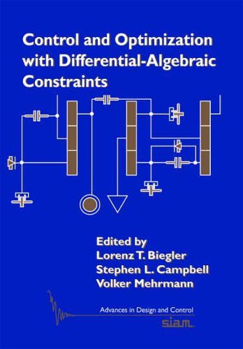 Control and Optimization with Differential-Algebraic Constraints