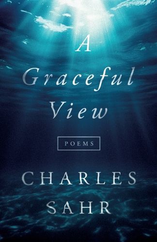 Cover image for A Graceful View