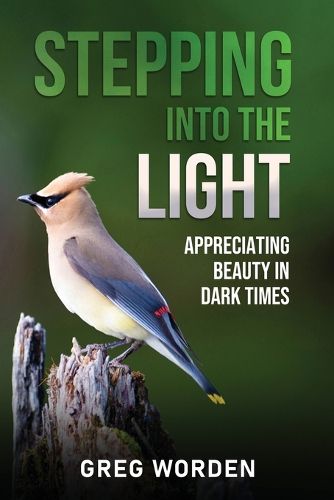 Cover image for Stepping into the Light