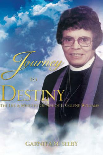 Cover image for Journey To Destiny