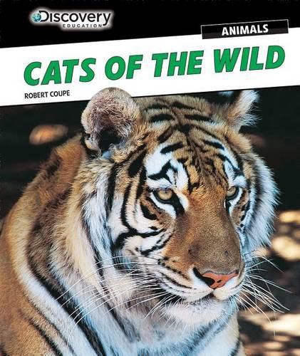 Cover image for Cats of the Wild