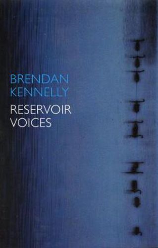 Cover image for Reservoir Voices