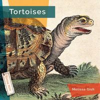 Cover image for Tortoises