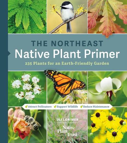 Cover image for The Northeast Native Plant Primer: 235 Plants for an Earth-Friendly Garden