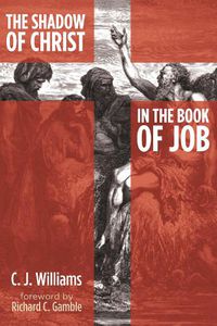 Cover image for The Shadow of Christ in the Book of Job