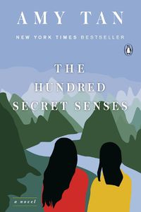 Cover image for The Hundred Secret Senses: A Novel