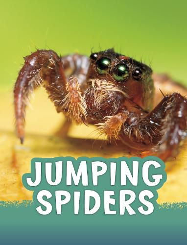Cover image for Jumping Spiders