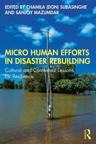 Cover image for Micro Human Efforts in Disaster Rebuilding