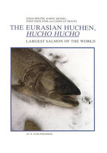 Cover image for The Eurasian Huchen, Hucho hucho: Largest Salmon of the World