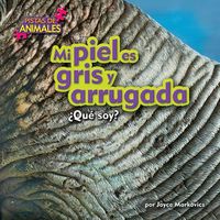 Cover image for Mi Piel Es Gris y Arrugada (Skin Gray)