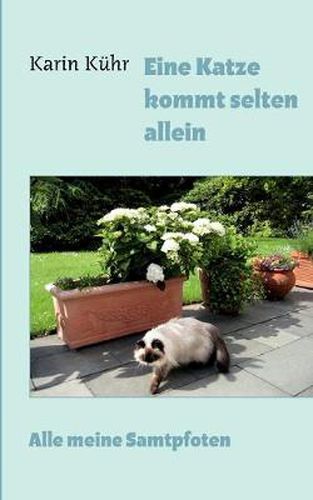 Cover image for Eine Katze kommt selten allein