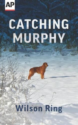 Cover image for Catching Murphy