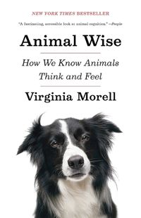 Cover image for Animal Wise: How We Know Animals Think and Feel