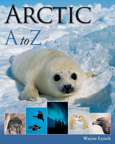 Cover image for Arctic A-Z