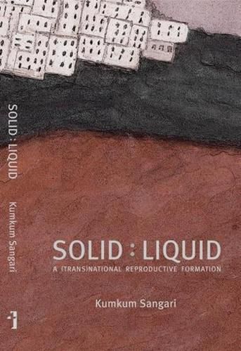 Cover image for Solid:Liquid - a (trans)national reproductive formation