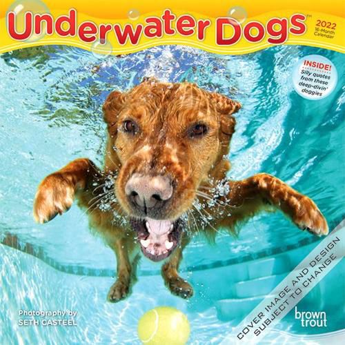 Cover image for Underwater Dogs 2022 Mini