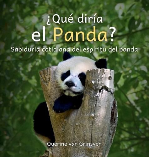 Cover image for ?Que diria el Panda?