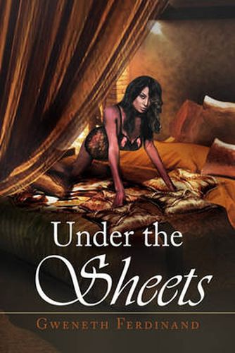 Cover image for Under the Sheets