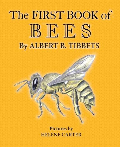 Cover image for The First Book of Bees