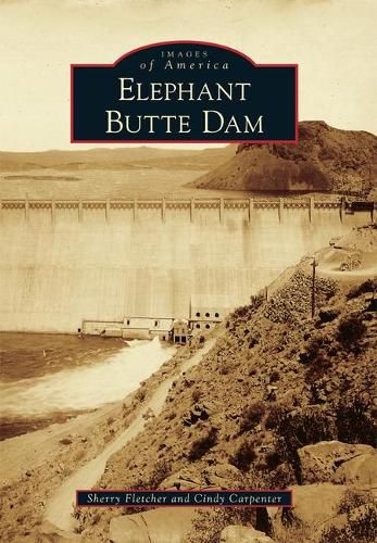 Cover image for Elephant Butte Dam