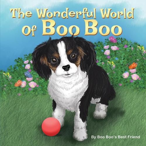 Cover image for The Wonderful World Of Boo Boo