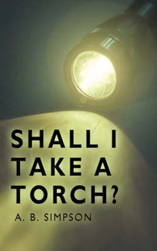 Cover image for Shall I Take A Torch?