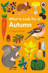 Cover image for What to Look For in Autumn