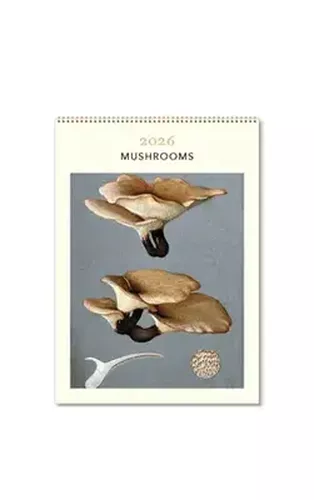 Cover image for Mushrooms Medium 2026 Calendar