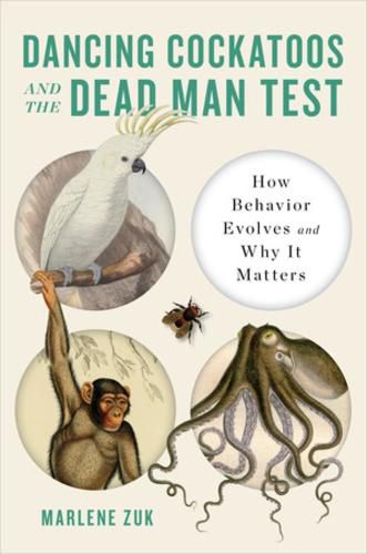 Cover image for Dancing Cockatoos and the Dead Man Test: How Behavior Evolves and Why It Matters