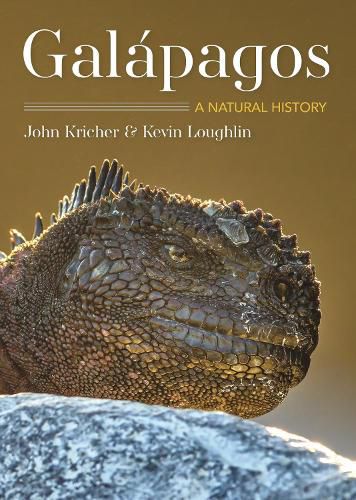 Cover image for Galapagos: A Natural History  Second Edition