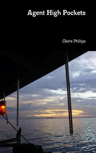 Cover image for Agent High Pockets