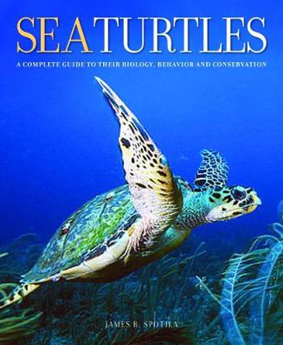 Cover image for Sea Turtles: A Complete Guide to Their Biology, Behavior, and Conservation