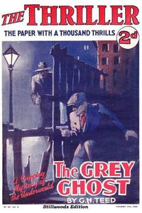 Cover image for The Grey Ghost