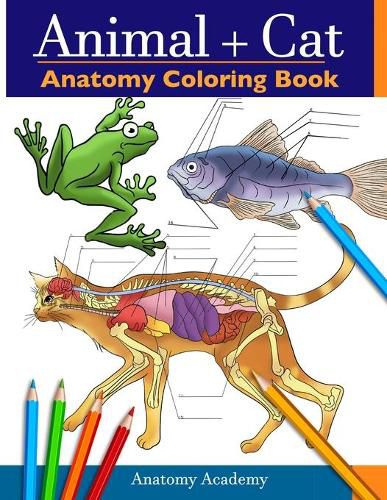 Cover image for Animal & Cat Anatomy Coloring Book: 2-in-1 Compilation Incredibly Detailed Self-Test Veterinary & Feline Anatomy Color workbook