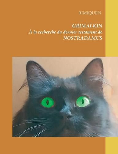 Cover image for Grimalkin: A la recherche du dernier testament de Nostradamus