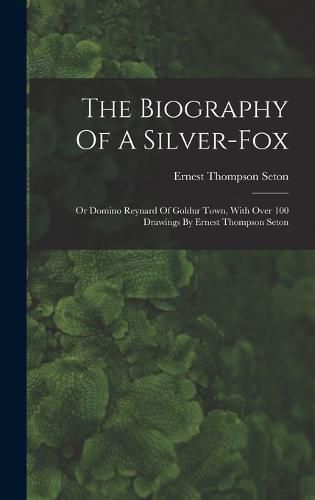 Cover image for The Biography Of A Silver-fox