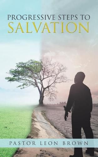 Cover image for Progressive Steps to Salvation