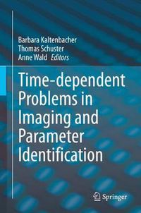 Cover image for Time-dependent Problems in Imaging and Parameter Identification