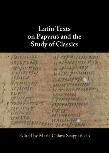 Cover image for Latin Texts on Papyrus and the Study of Classics