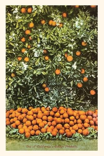 Cover image for The Vintage Journal Orange Grove