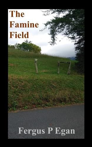 Cover image for The Famine Field