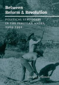 Cover image for Between Reform and Revolution: Political Struggles in the Peruvian Andes, 1969-1991