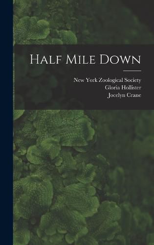 Cover image for Half Mile Down