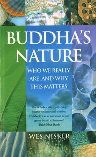 Buddha's Nature: Who We Really Are and Why This Matters